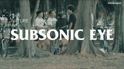 The Nature of Subsonic Eye