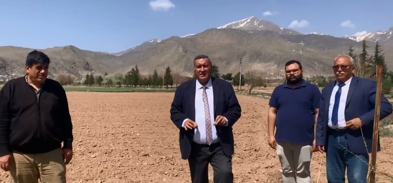 Patateste tehlike çanları: Karantina 26 ile yayıldı