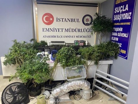 Son dakika... Ataşehir'de lüks rezidansta uyuşturucu serasına baskın: 2 gözaltı