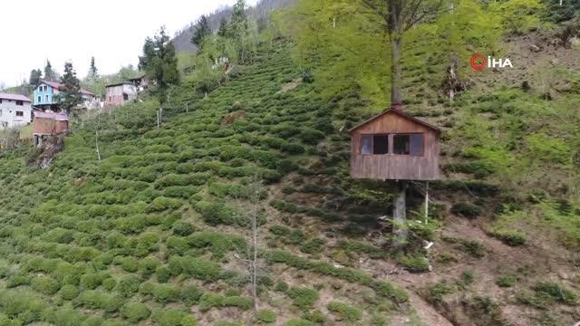 Hayalini kurdukları ağaç eve 30 yıl sonra kavuştular