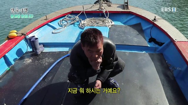 한국기행 - Korea travel_봄 배달 왔습니다 2부- 섬진강에 꽃이 피면_#002