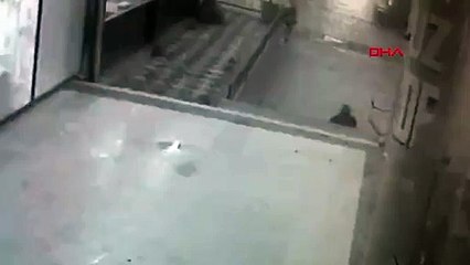 İstanbul'un Teksas'ında akıl almaz hırsızlık: Gündüz dilendiler, gece çaldılar
