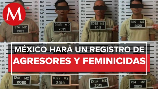Proponen crear registro de agresores sexuales y feminicidas