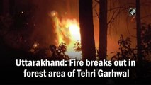 Fire breaks out in forest area of Tehri Garhwal in Uttarakhand