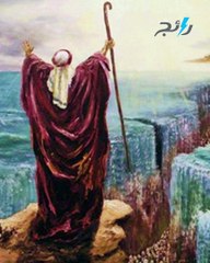 قصة تيه بني اسرائيل في الصحراء