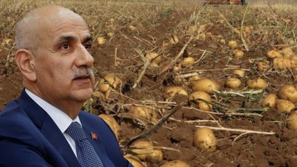 Bir bu eksikti! Şimdi de patates kanseri patlak verdi, 26 ilde karantina uygulanıyor