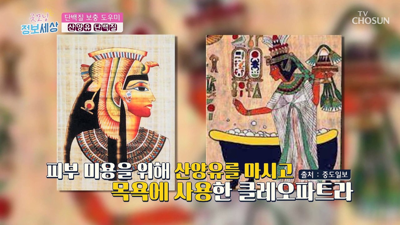 단백질 보충 걱정 NO 근감소에 도움 주는 산양유 단백질 TV CHOSUN 22042...