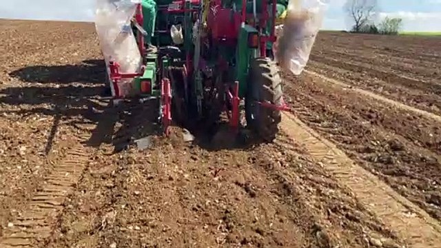 10 000 pieds de cépages de vigne ont été plantés sur deux hectares à Roy-Boissy