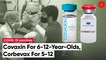 Covaxin gets DCGI nod for 6-12 age group, Corbevax for 5-12-year-olds