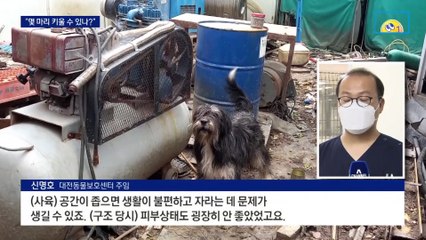 최소 사육 공간 마련 못하면 처벌…“우리집은 최대 몇 마리?”