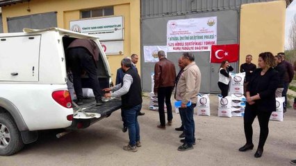 Van'da 15 ton kuru fasulye tohumu dağıtıldı