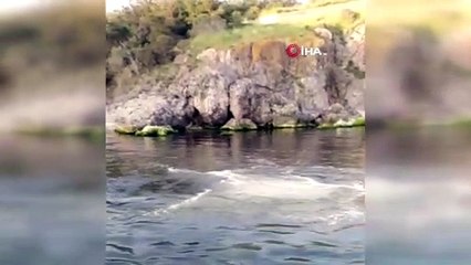 Heybeliada’da İSKİ’nin derin deniz deşarj hattı patladı, derinlerdeki lağım suyu yüzeye çıktı