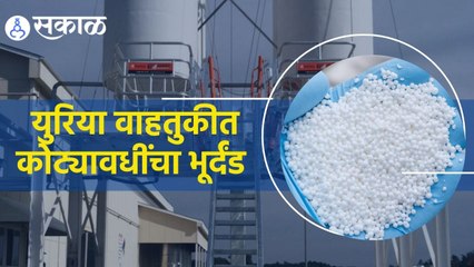 Urea transport | युरिया वाहतुकीत कोट्यावधींचा भूर्दंड  | Sakal |