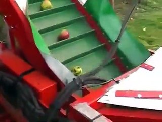 Elma Toplama Makinesi 2