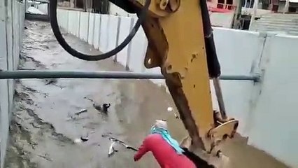 Equador. Cão salvo por trabalhadores com ajuda de retroescavadora