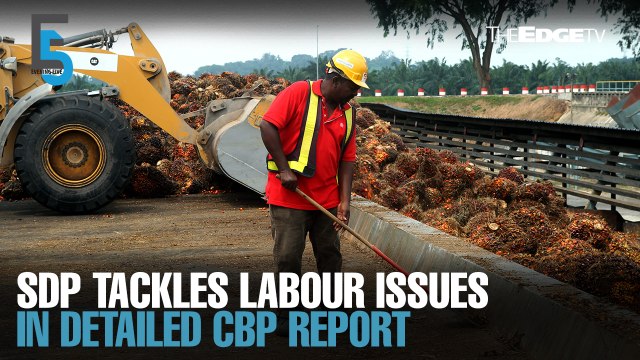 EVENING 5: Sime Darby Plantation submits comprehensive report to US CBP