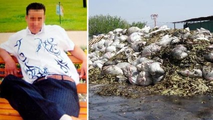 "Kuşum kaçtı" diyerek çatısına çıktığı fabrikayı benzin döküp yaktı! 7 milyon TL'lik zarar var