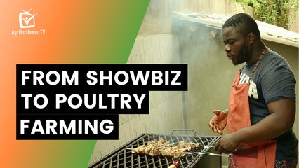 Benin: From showbiz to poultry farming