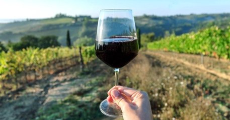 Cet escape game au coeur d'un vignoble vous offre un verre de vin à chaque bonne réponse