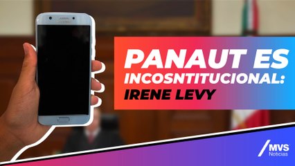 'SCJN declara inconstitucional el PANAUT, bien por la Corte': Irene Levy