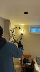 Catching a Bat Mid-Air with a Fishing Net