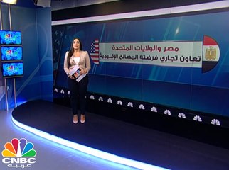 مصر والولايات المتحدة .. تعاون تجاري فرضته المصالح الإقليمية