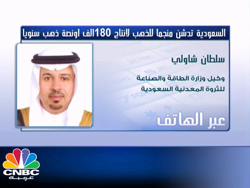 سلطان شاولي لـ CNBCعربية: مساهمة قطاع التعدين في الناتج المحلي السعودي يمثل قرابة 64 مليار ريال