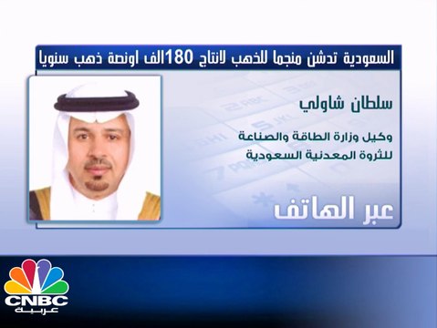 سلطان شاولي لـ CNBCعربية: مساهمة قطاع التعدين في الناتج المحلي السعودي يمثل قرابة 64 مليار ريال
