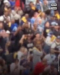 Animal Activists Protest Timberwolves Owner’s Factory Farm