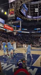 Animal Rights Protester Storms the Court During Timberwolves Game