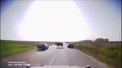 Ce conducteur va avoir un réflexe incroyable qui va lui sauver la vie