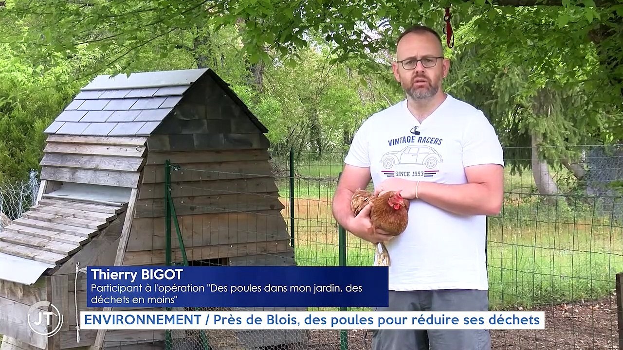 ENVIRONNEMENT / Près de Blois, des poules pour réduire ses déchets