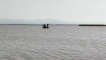 Kızılırmak Kuş Cenneti'nde kaçak avlanan sazan balıkları suya salındı