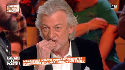 Manger des insectes pourrait permettre d’améliorer le climat : les chroniqueurs font le test !