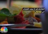 العالم قد لا يجد الغذاء في 2050