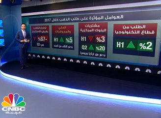 كيف كان أداء أهم السلع خلال 2017 ؟