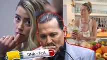Johnny Depp wants to DNA test Amber Heard's baby, if it's yours, the lawsuit will stop