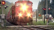 Train Simulator 2014 We are rail fans (PL)