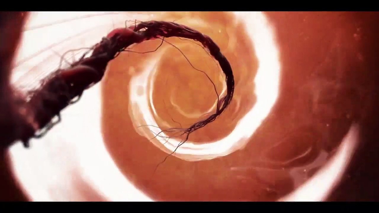 ZombiU demo trailer