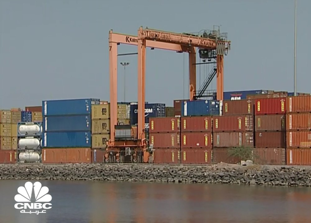 جيبوتي تعرض شراء حصة موانئ دبي في مرفأ دوراليه للحاويات لتفادي التحكيم