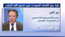 مدير بعثة صندوق النقد الدولي إلى السعودية لـ CNBCعربية: من المهم أن تحافظ الحكومة على برنامجها الاقتصادي مع ارتفاع أسعار النفط