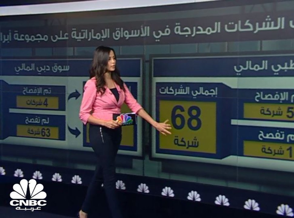 كم وصل حجم انكشاف الشركات الإماراتية على مجموعة...