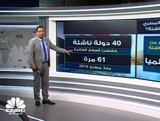 هل باتت الفرصة مواتية للبنك المركزي المصري لخفض أسعار الفائدة؟