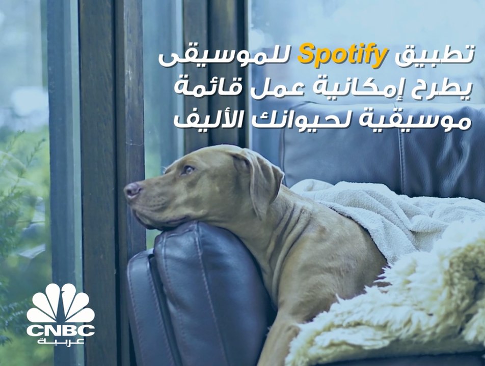 هل تمتلك حيواناً أليفاً يحب سماع الموسيقى؟ Spotify سيساعدك في إنشاء قائمة الموسيقى الخاصة به