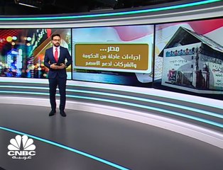 هل تنجح المشتريات الحكومية في دعم صعود الأسهم المصرية؟