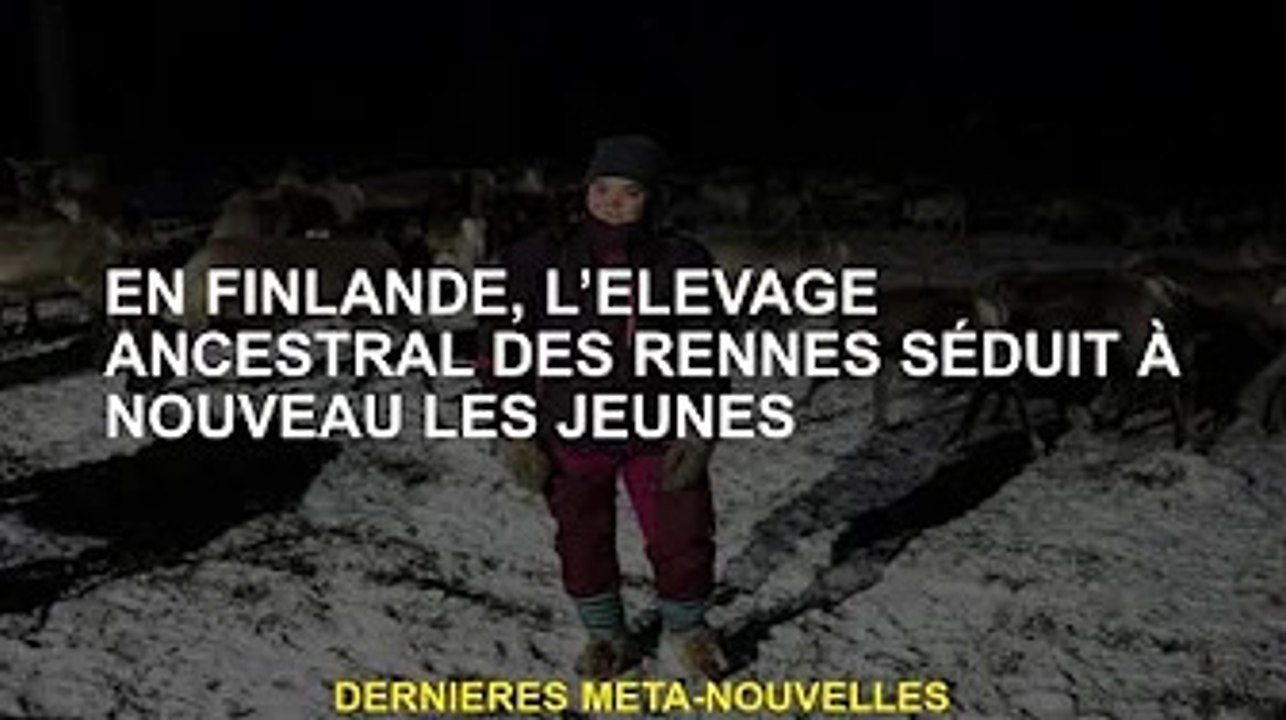 En Finlande, l'élevage ancestral de rennes attire à nouveau les jeunes