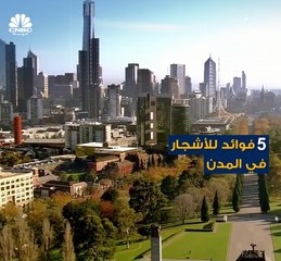 الشوارع التي تحتوي على أشجار أكثر تنخفض فيها نسبة التلوث الناتج عن عوادم السيارات بـ 60%