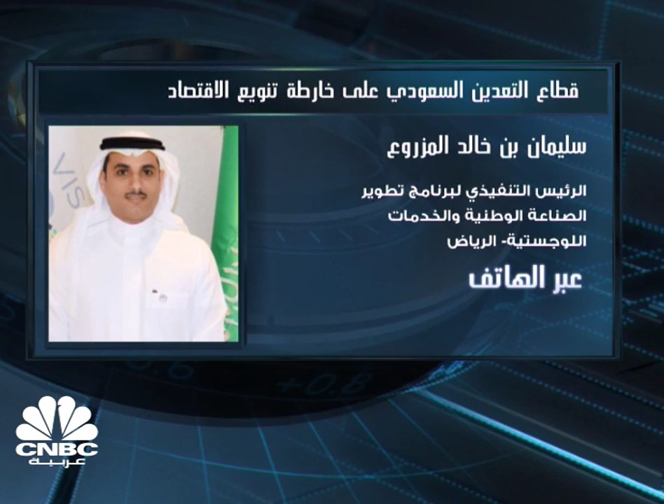 الرئيس التنفيذي لبرنامج "ندلب" في السعودية: نست...