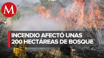Incendio en Nevado de Colima afectó cerca de 200 héctarias de bosque