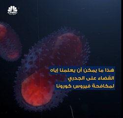 في القرن العشرين .. قتل الجدري لوحده 300 مليون شخص .. فما قصته في الهند؟